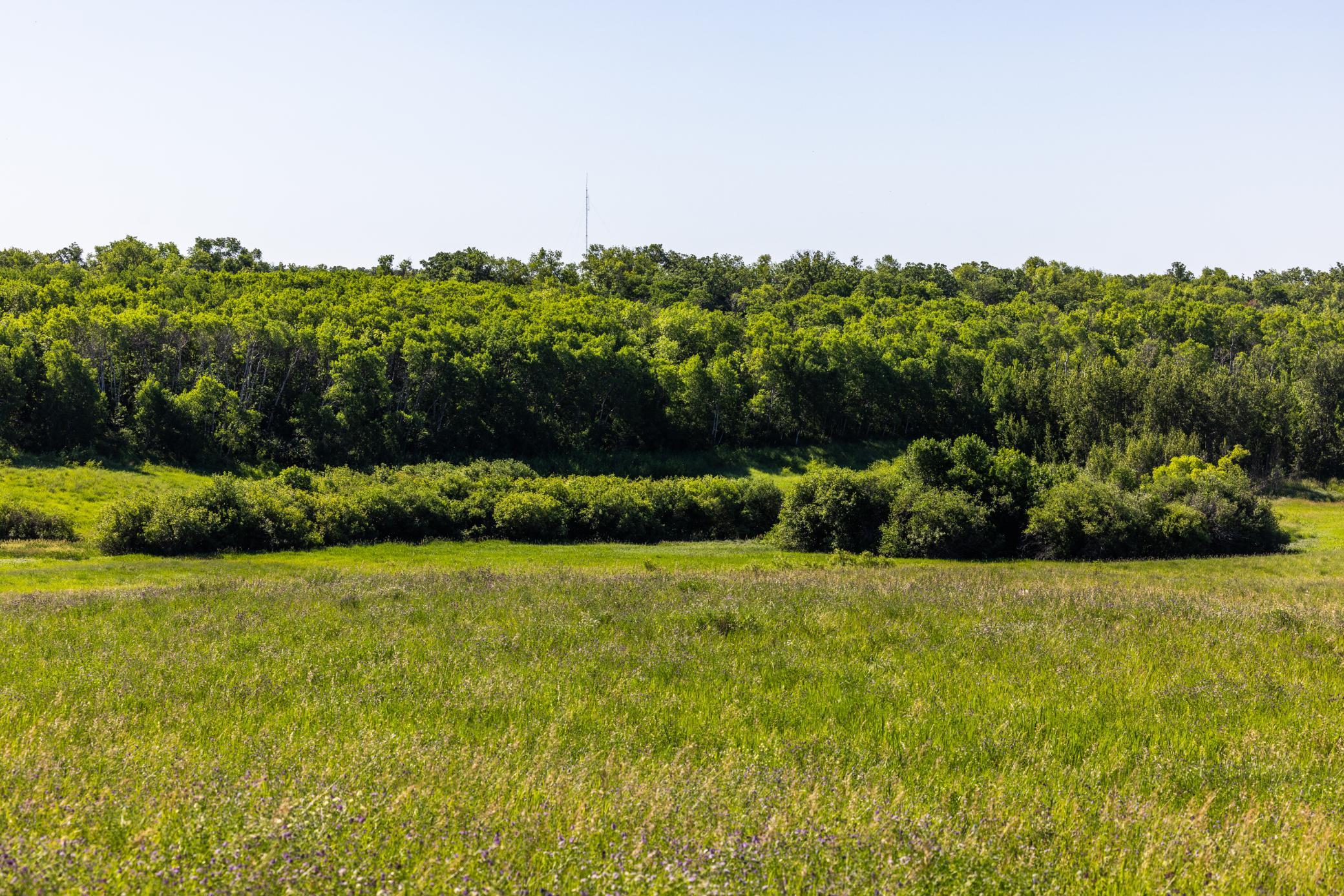 Amdak__Kamrud Land_0027.jpg