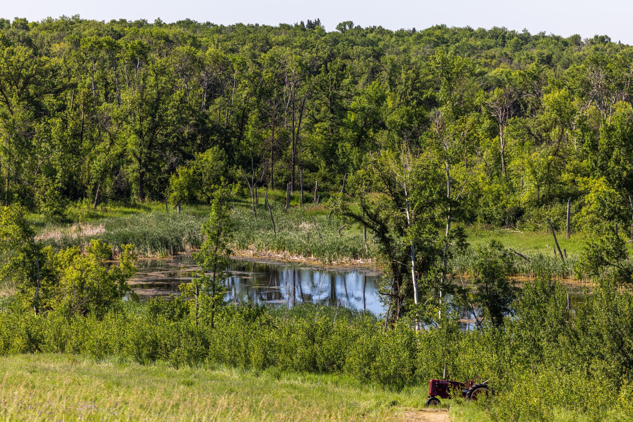 Amdak__Kamrud Land_0026.jpg