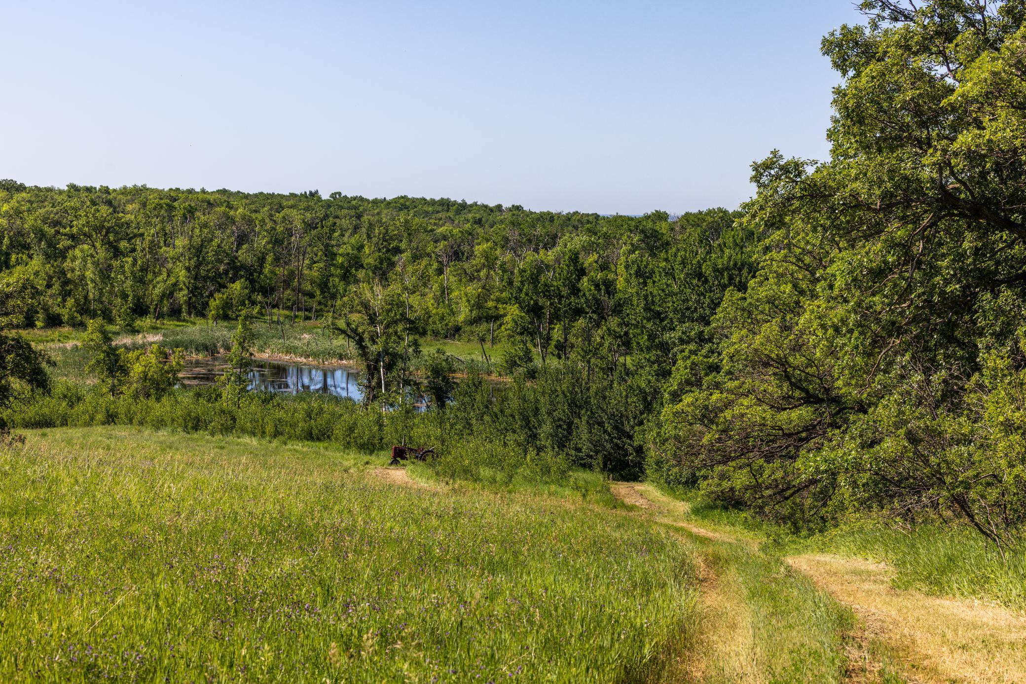 Amdak__Kamrud Land_0025.jpg