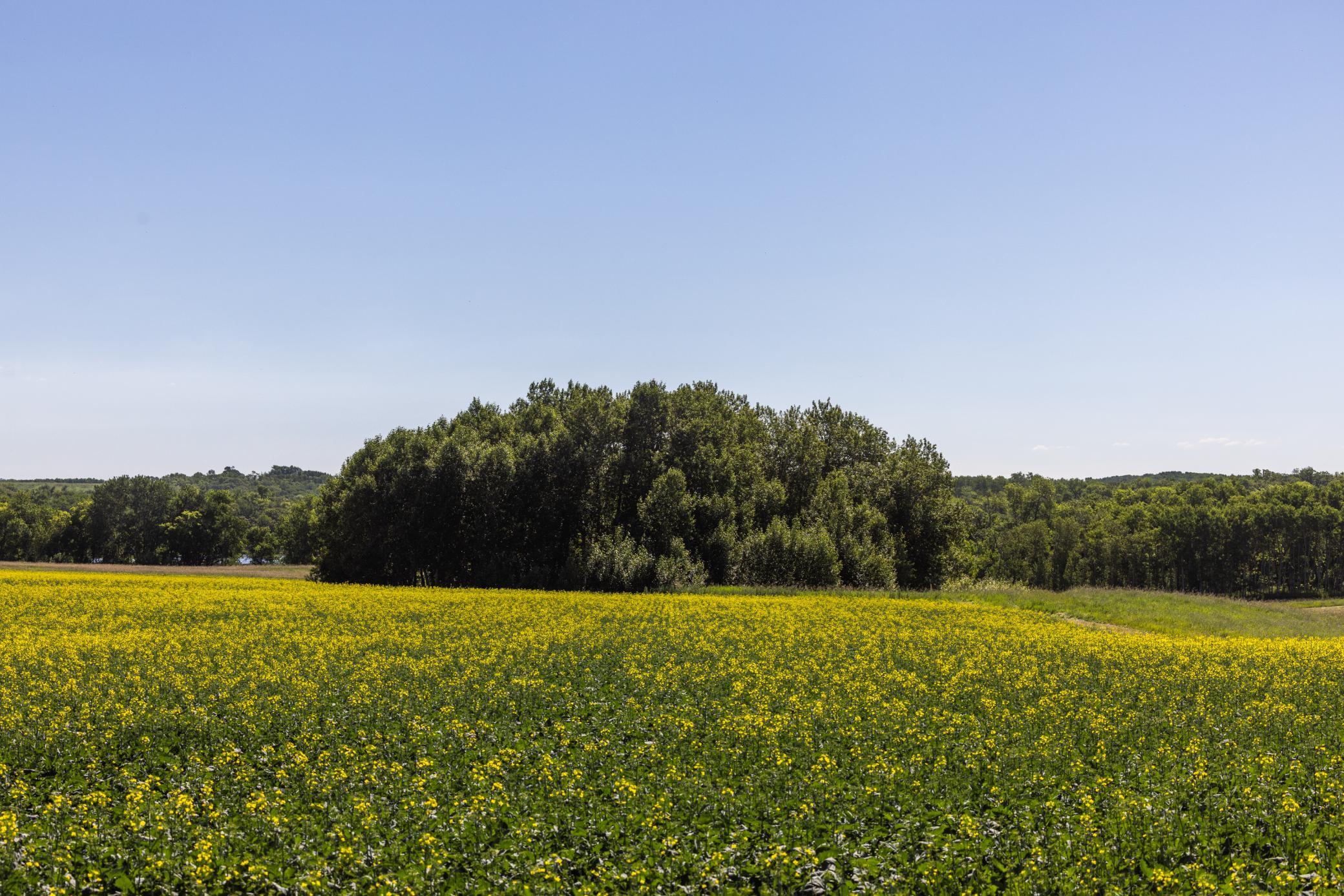 Amdak__Kamrud Land_0023.jpg