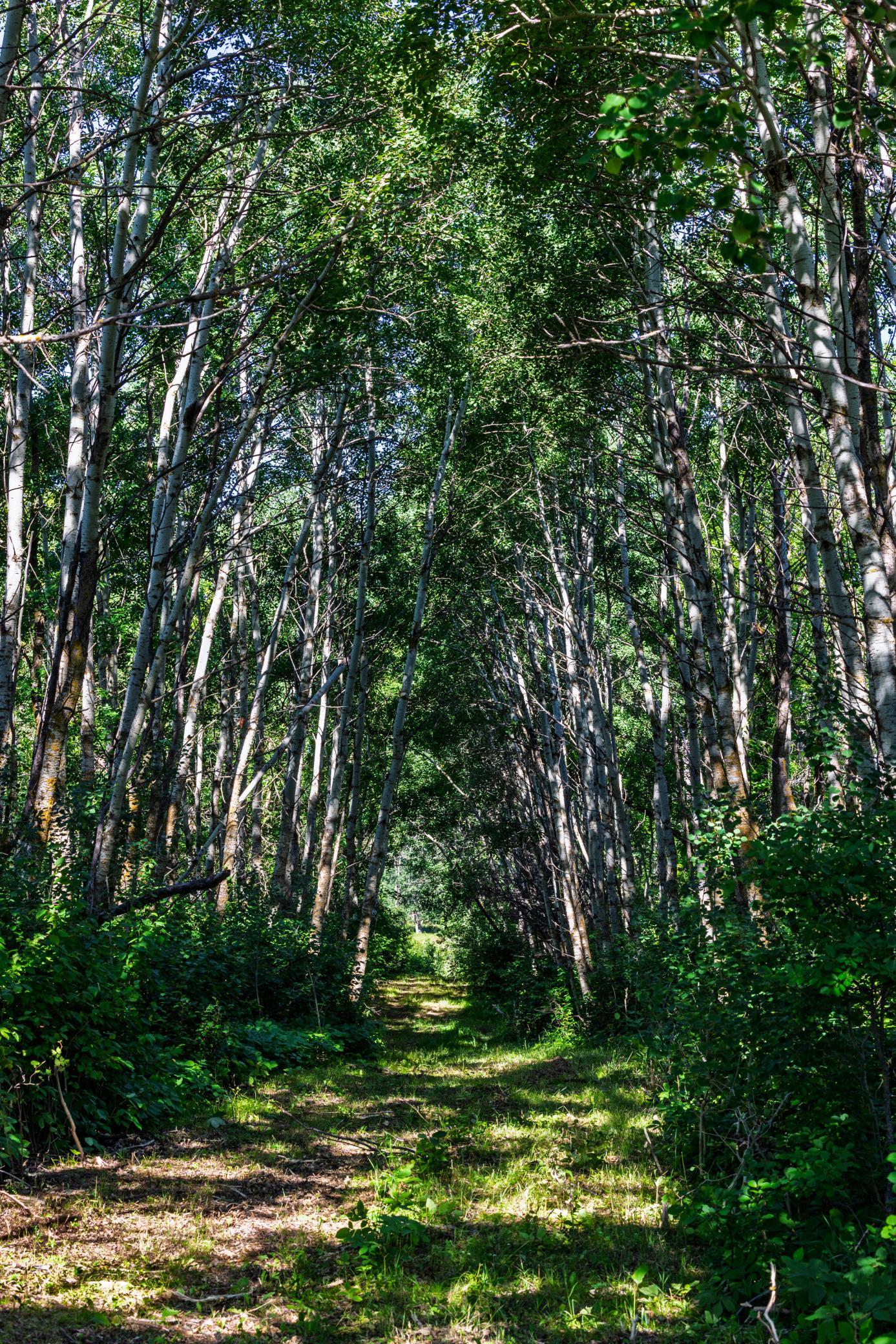Amdak__Kamrud Land_0022.jpg