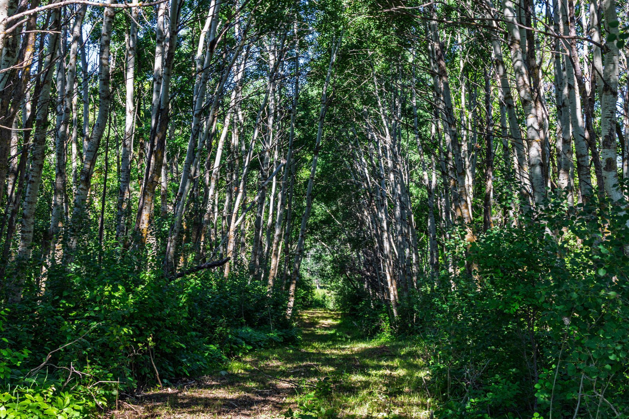 Amdak__Kamrud Land_0021.jpg