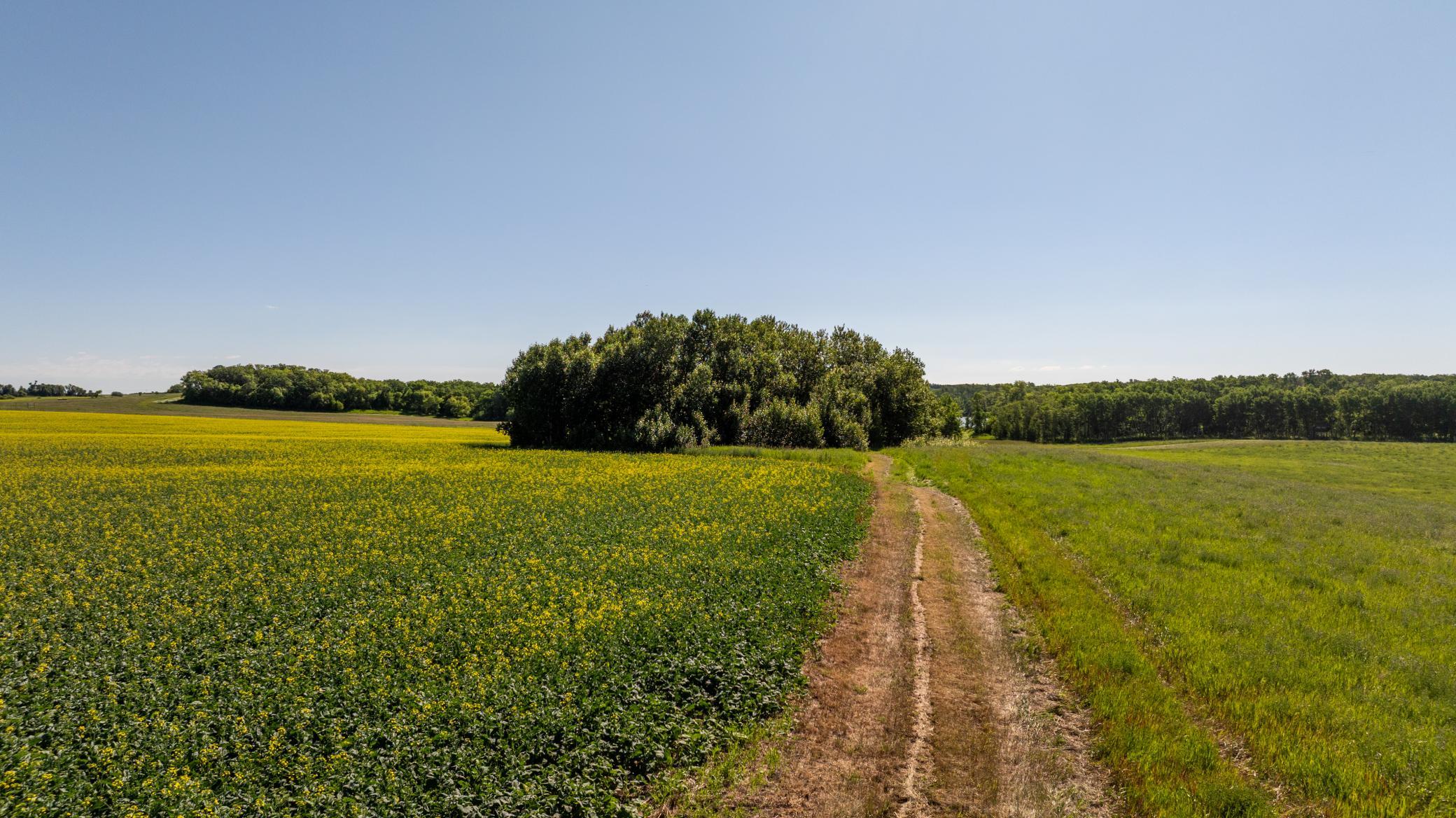 Amdak__Kamrud Land_0012.jpg