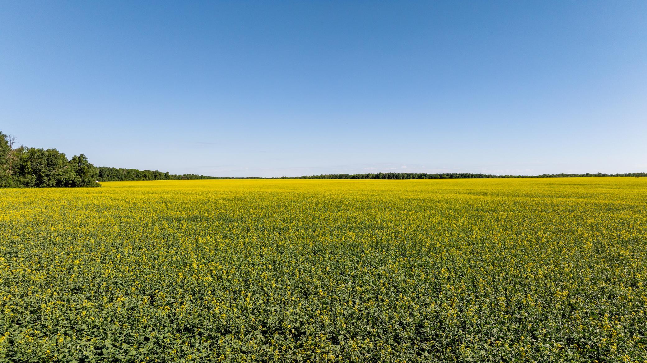 Amdak__Kamrud Land_0011.jpg