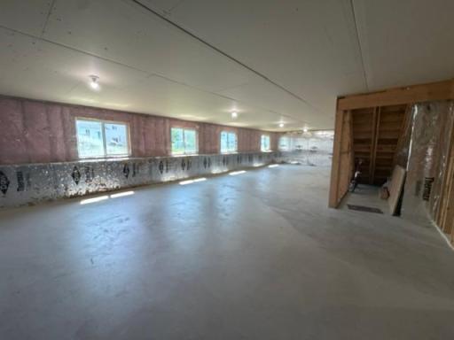 Basement with tons of natural light