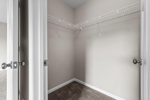 Walk-In closet in bedroom