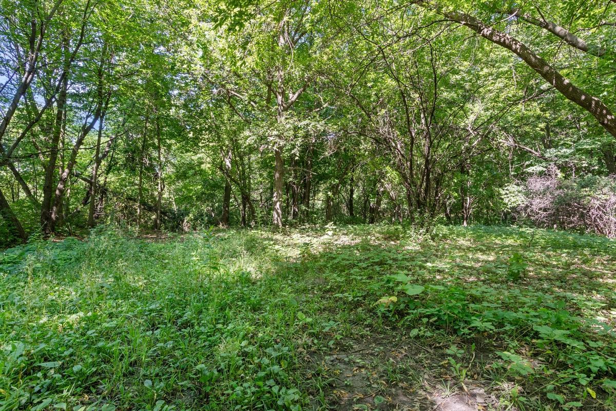 Gorgeous acres waiting for you!