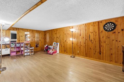 Lower level playroom/familyroom
