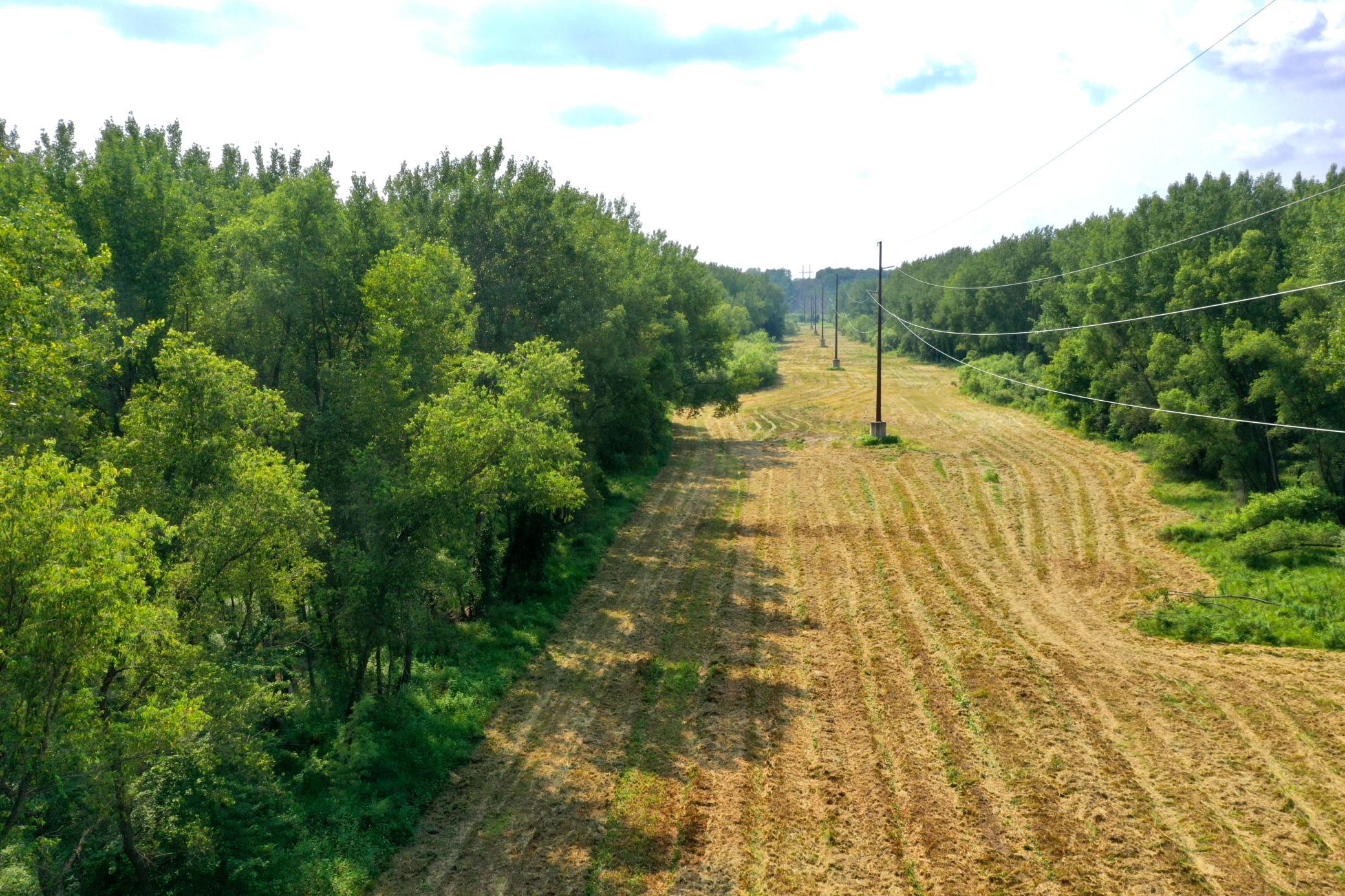 Pic 16.JPG