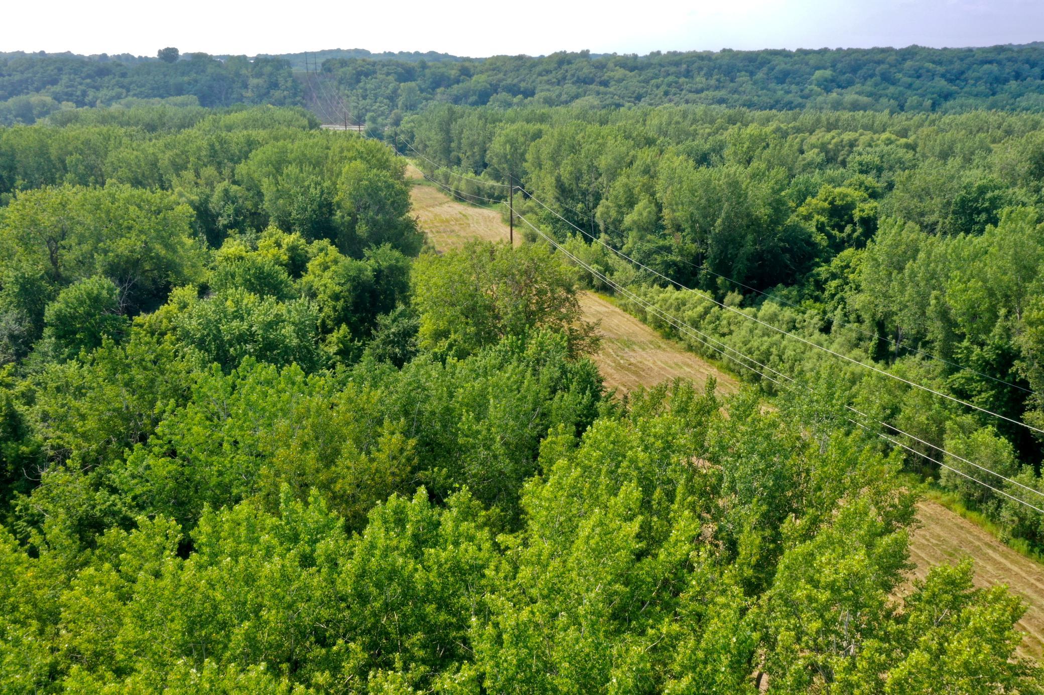 Pic 24.JPG