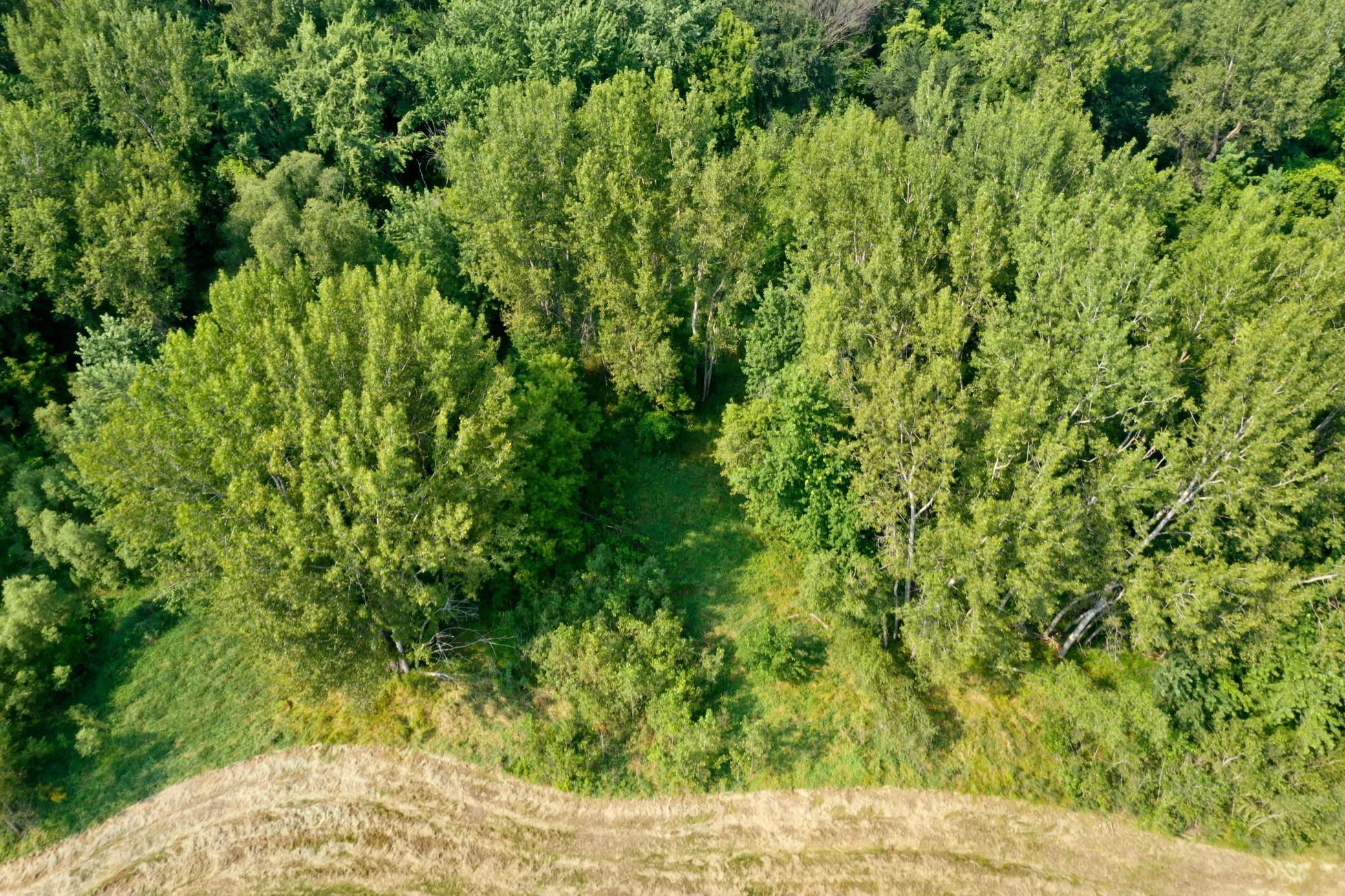 Pic 22.JPG