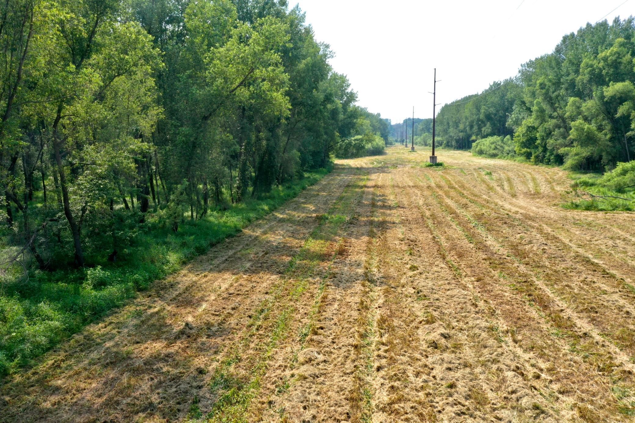 Pic 3.JPG