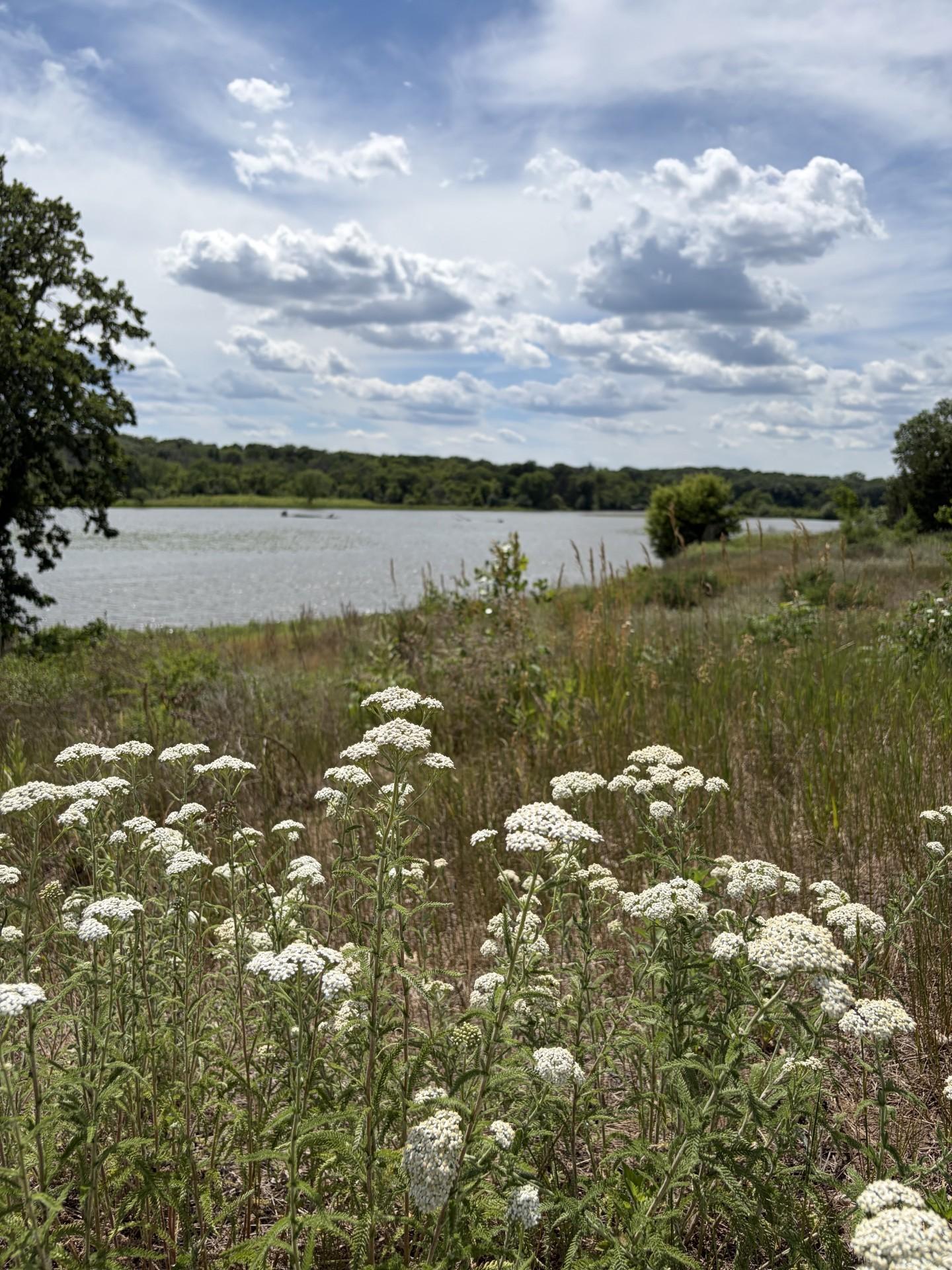 Views from the Mississippi Dunes Park Reserve trail, just steps away from the neighborhood!