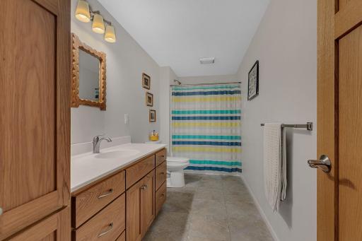 Lower level bathroom.