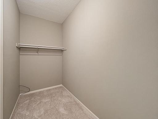 Huge walk in closet