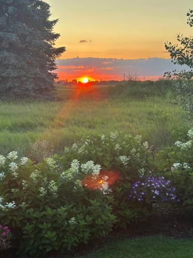 Sunset view from the patio