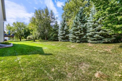 1209 Roberts Road, Buffalo, MN 55313