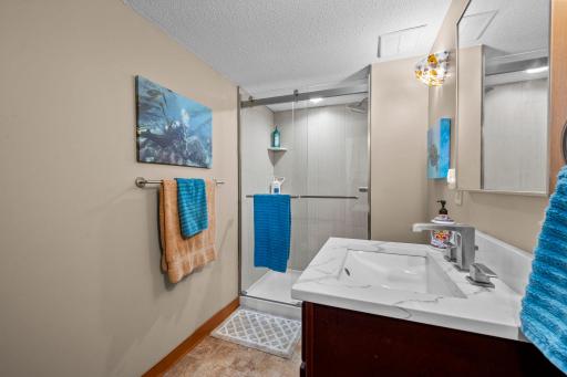 Remodeled downstairs bathroom with quality features and gorgeous tiled, step-in shower.