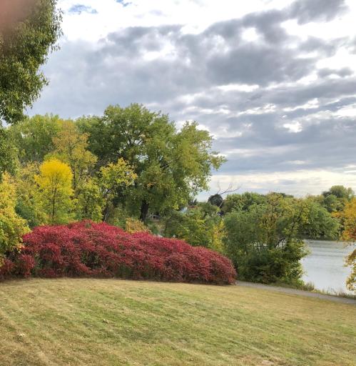 14333 91st Place N, Maple Grove, MN 55369