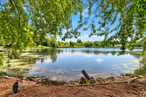 Located on Boundary Creek Pond (DNR Lake #27025600)
