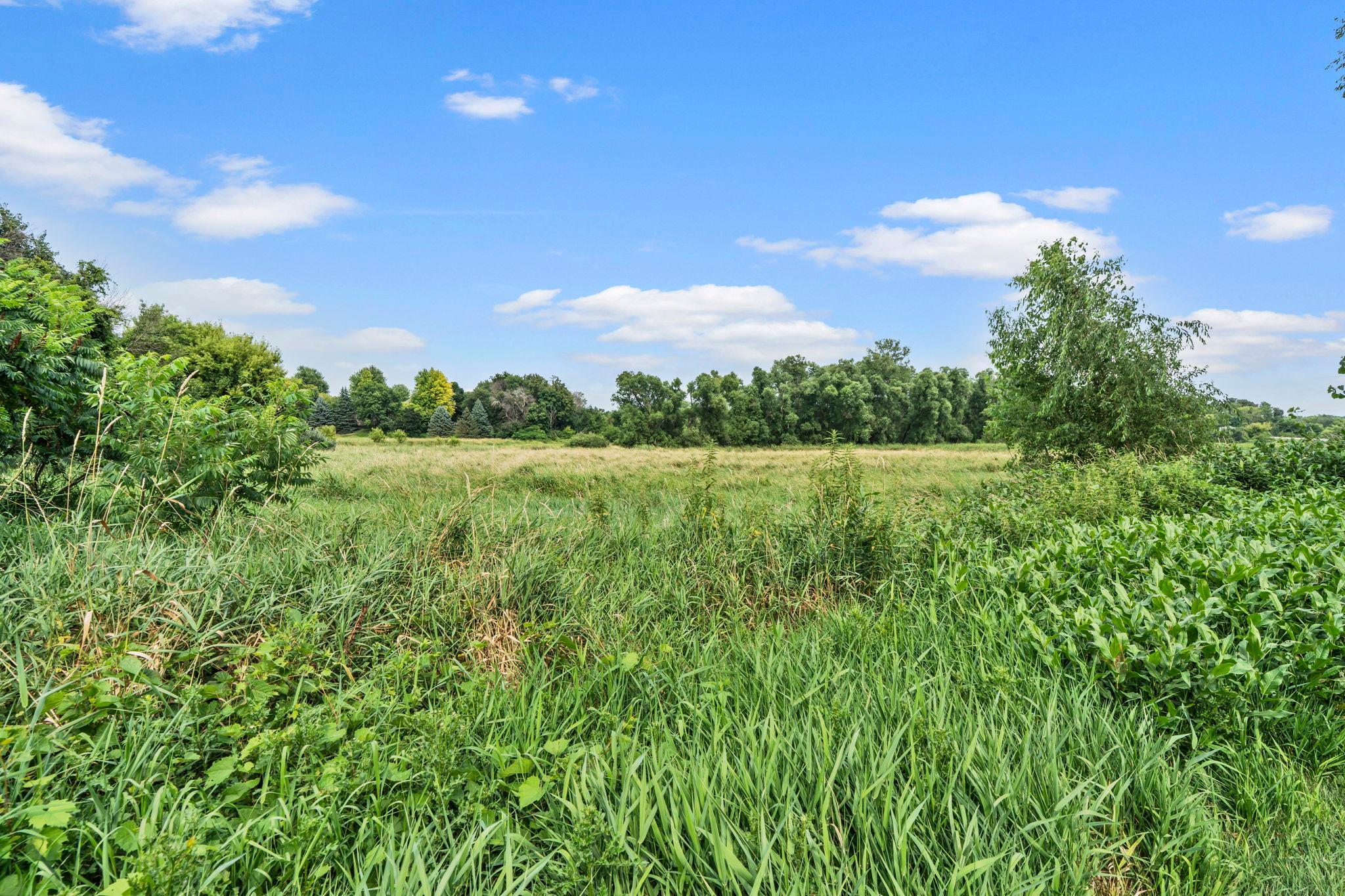 20 acres of preserve right behind you