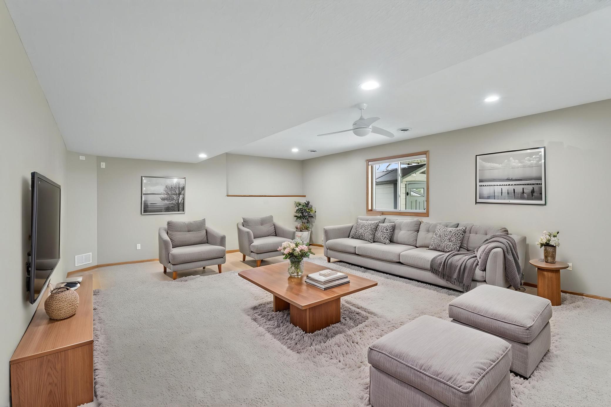 Lower level family room/rec area