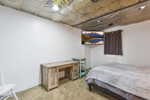 Lower level bedroom (egress and closet)