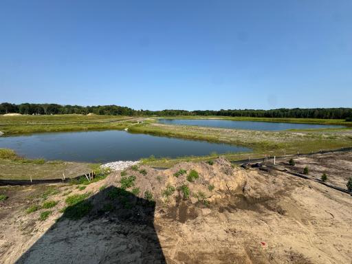 Direct views of two ponds from the back of this home. Nature's Refuge North also includes trails and sidewalks throughout the community!