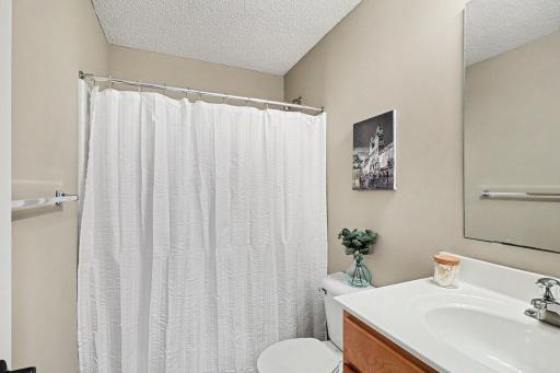 Lower level full bathroom
