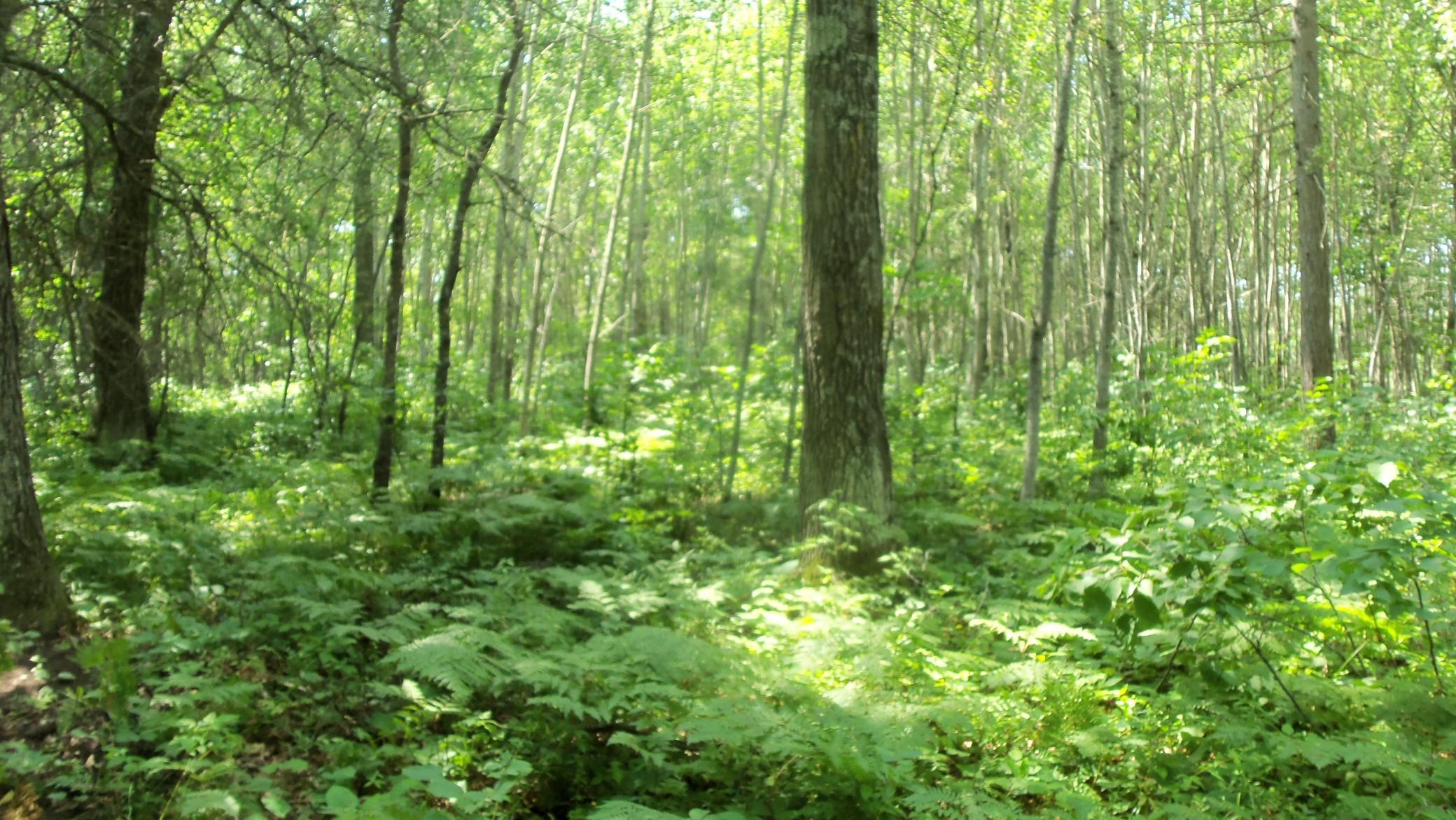 100_6534.JPG