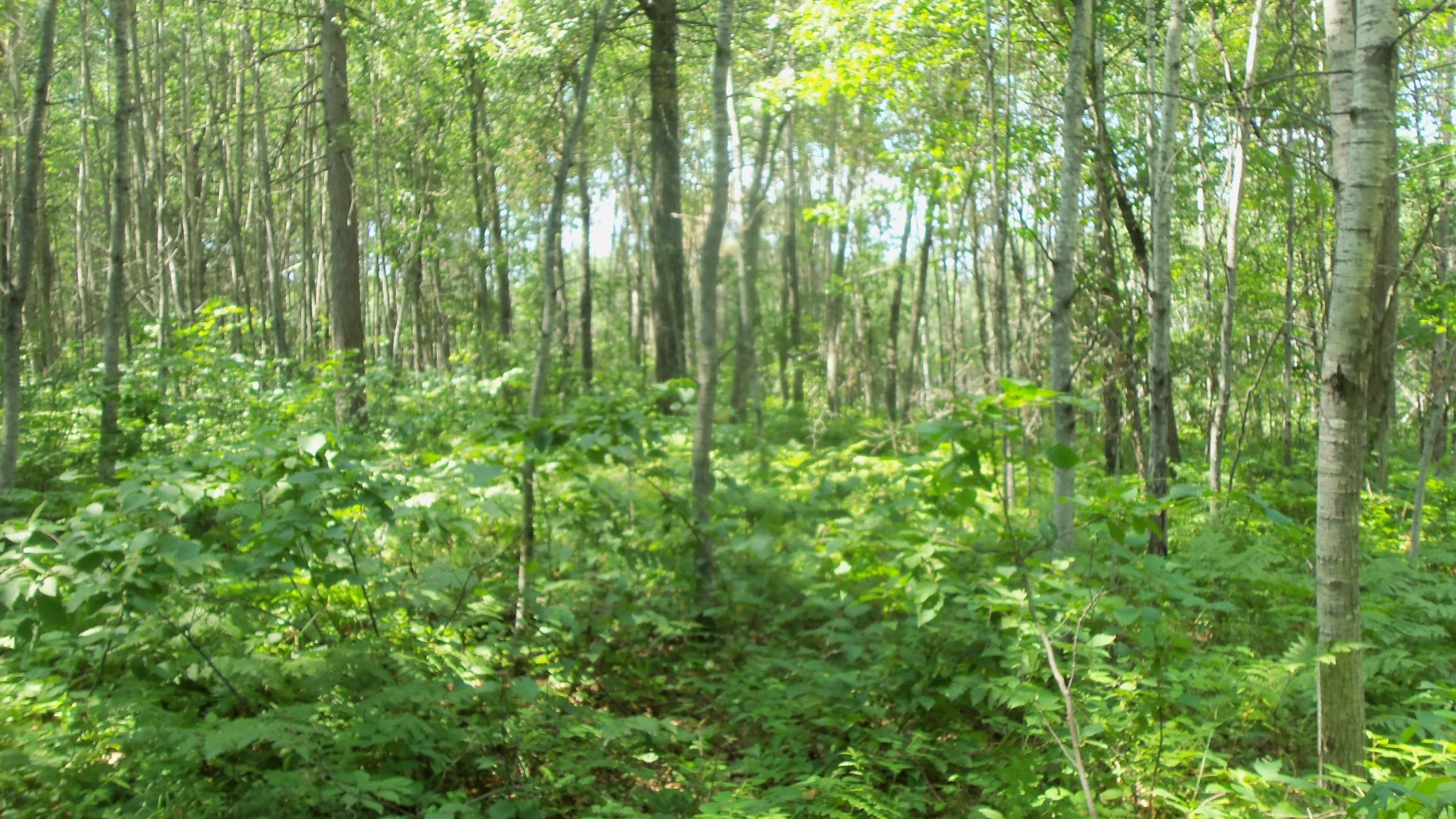 100_6535.JPG