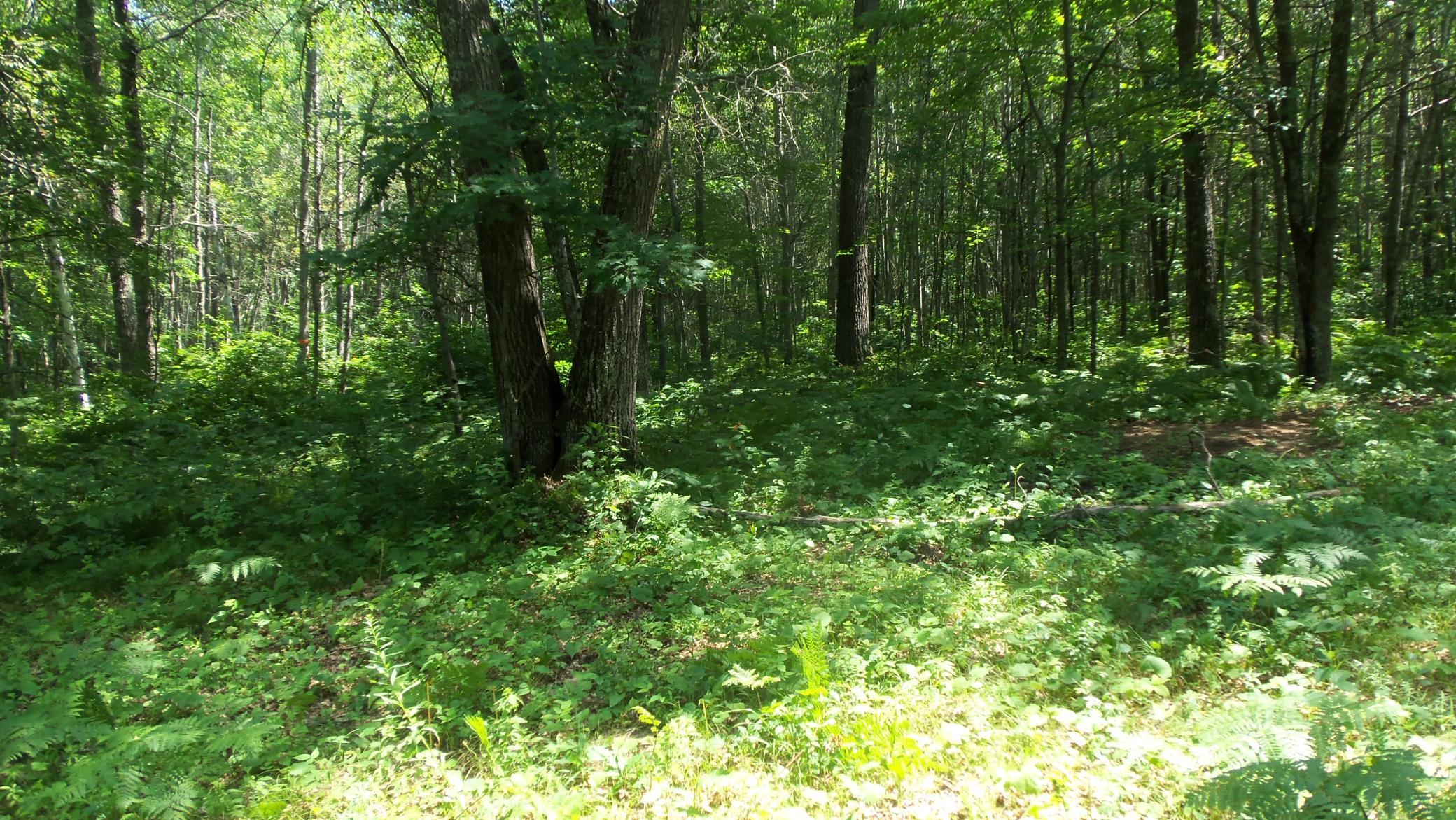 100_6531.JPG