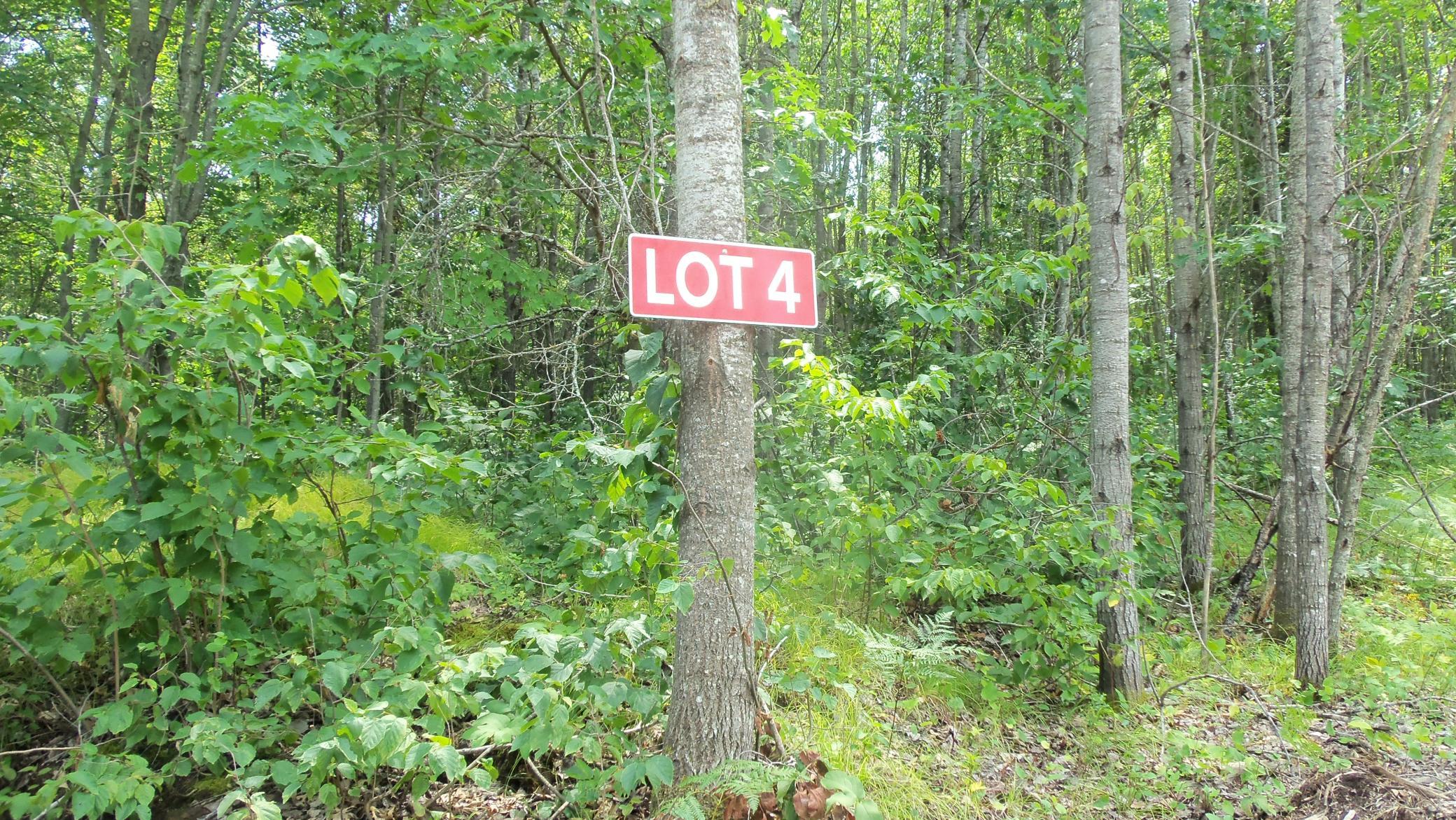 100_6528.JPG
