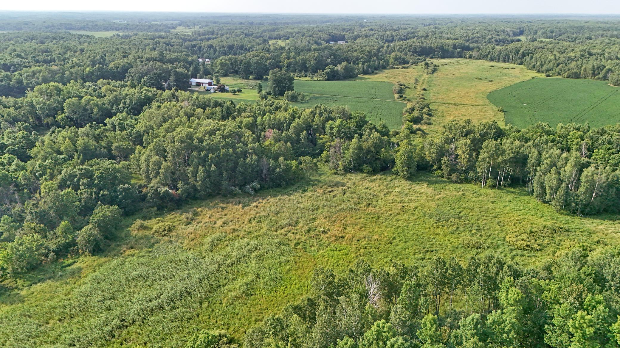 Picture 3.jpg