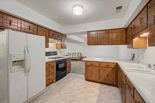 Lower level 2nd kitchen / Mother in Law Suite