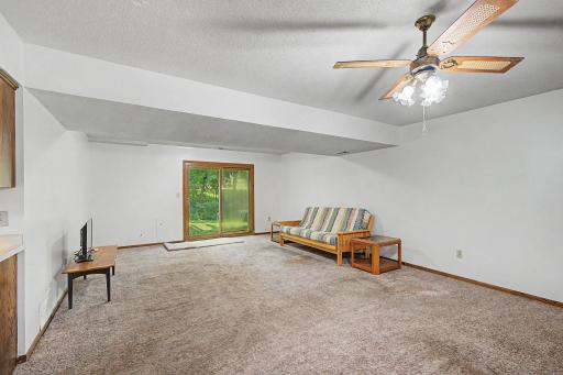 Lower level large living area with a walk out