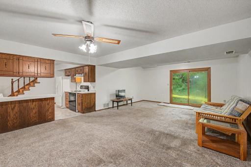 Lower level large living area with a walkout