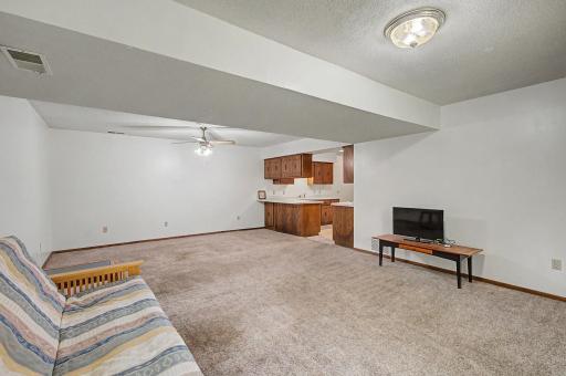 Lowel level large living area with a walkout