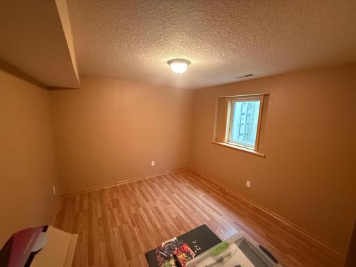 Lower Level Bedroom
