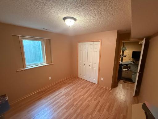 Lower Level Bedroom