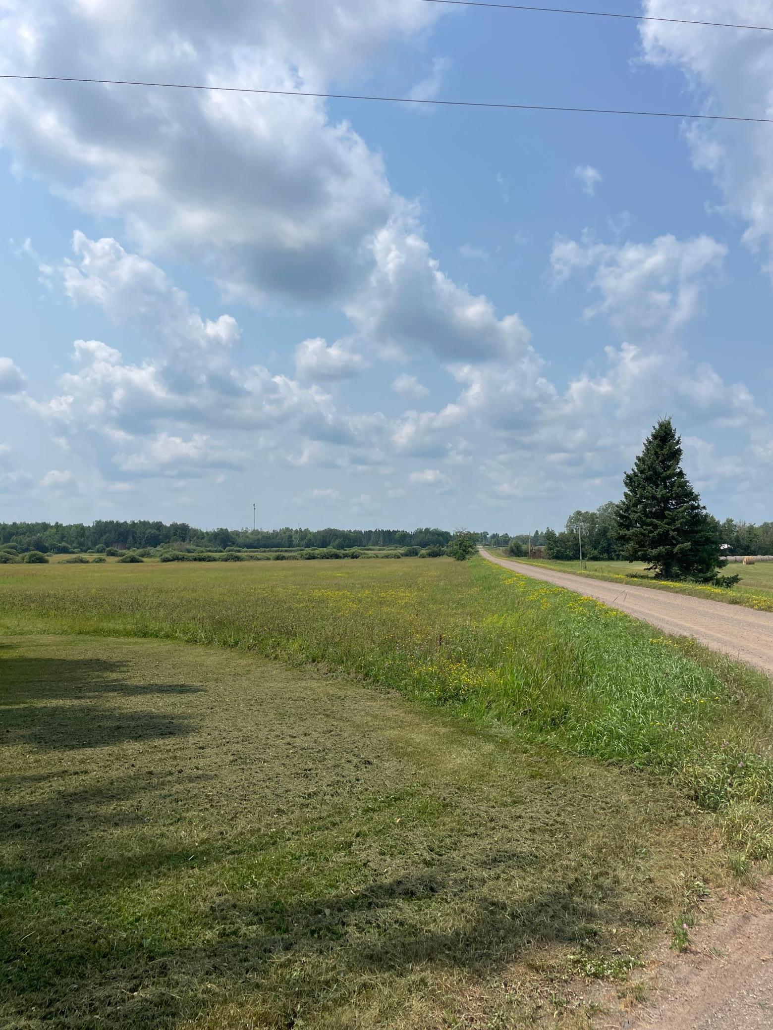 View to west along 395th Lane