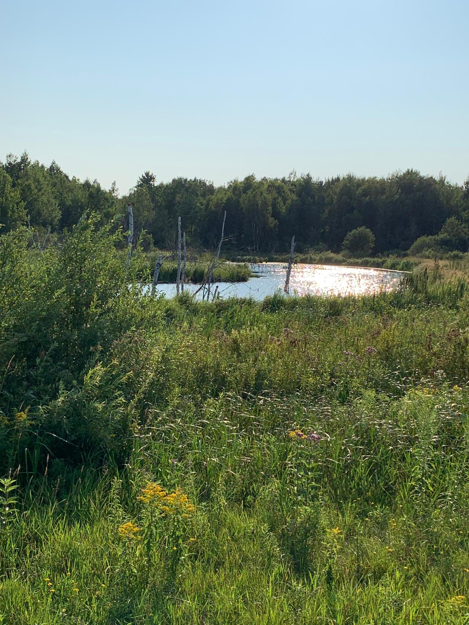 Photo 45