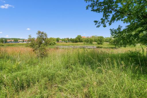 Explore the walking trails and more at Ames Lake Park