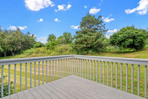 1048 Aston Cir, Burnsville, MN-24.jpg