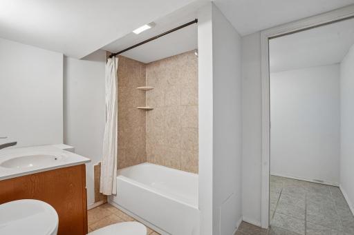 Lower level Primary Full Bathroom Suite