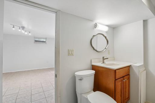 Lower level Primary Full Bathroom Suite