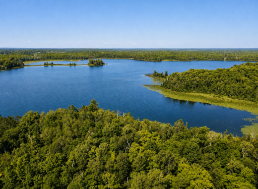 37800 Grave Lake Forest Road, Deer River, MN 56636