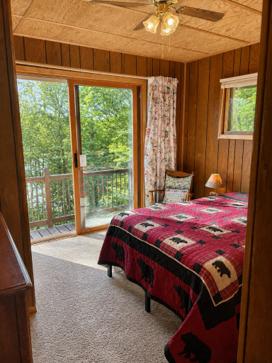 37800 Grave Lake Forest Road, Deer River, MN 56636