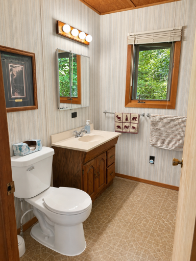 37800 Grave Lake Forest Road, Deer River, MN 56636