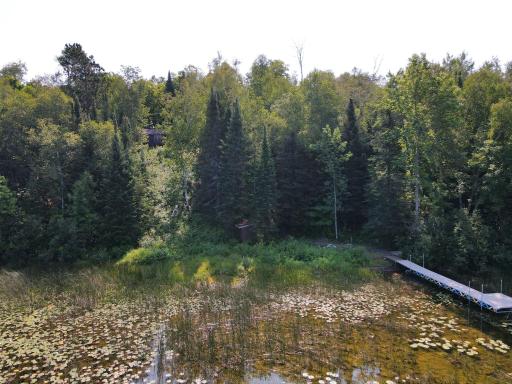 37800 Grave Lake Forest Road, Deer River, MN 56636